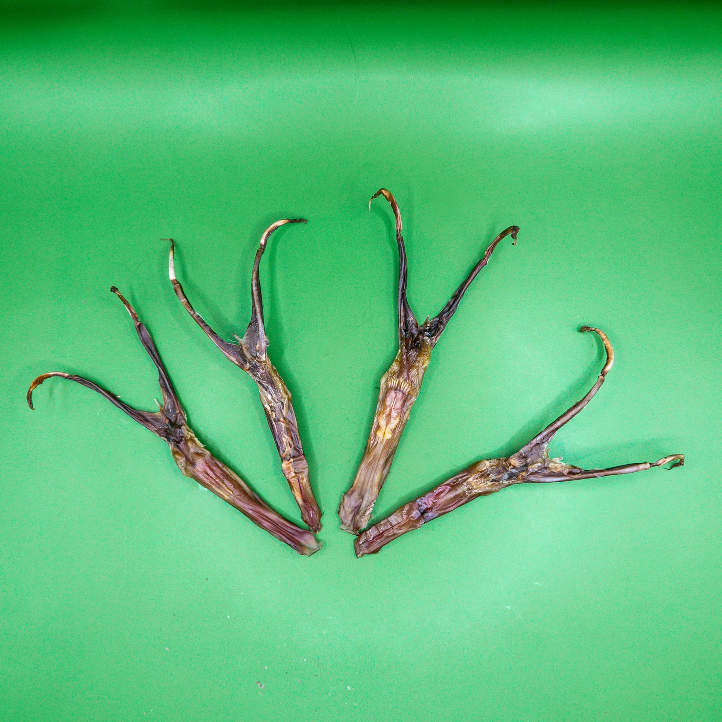 Duck Tongue (Dehydrated)