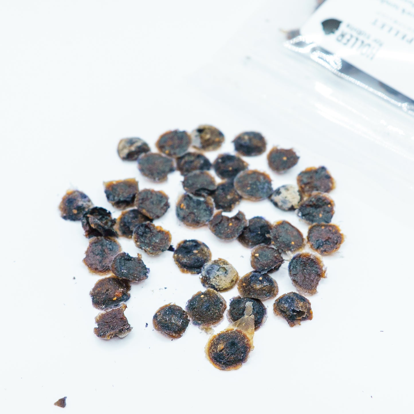 Pellet - Blueberry Pork (Dehydrated)