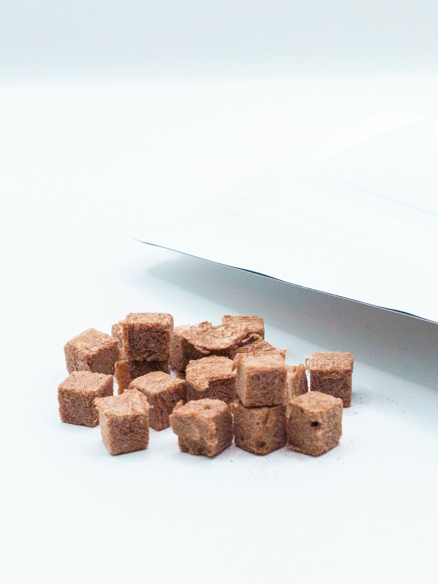 Strawberry Kangaroo (Chibi)