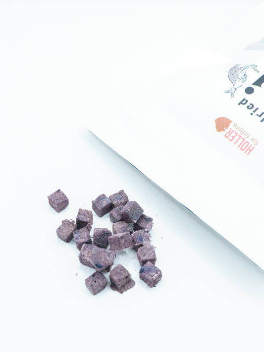 Blueberry Kangaroo (Chibi)